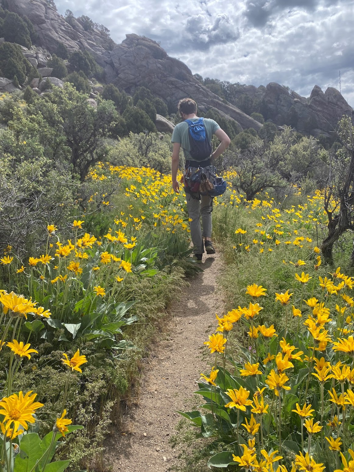 Obligatory picture of me in some wildflowers on the way to Sinocranium