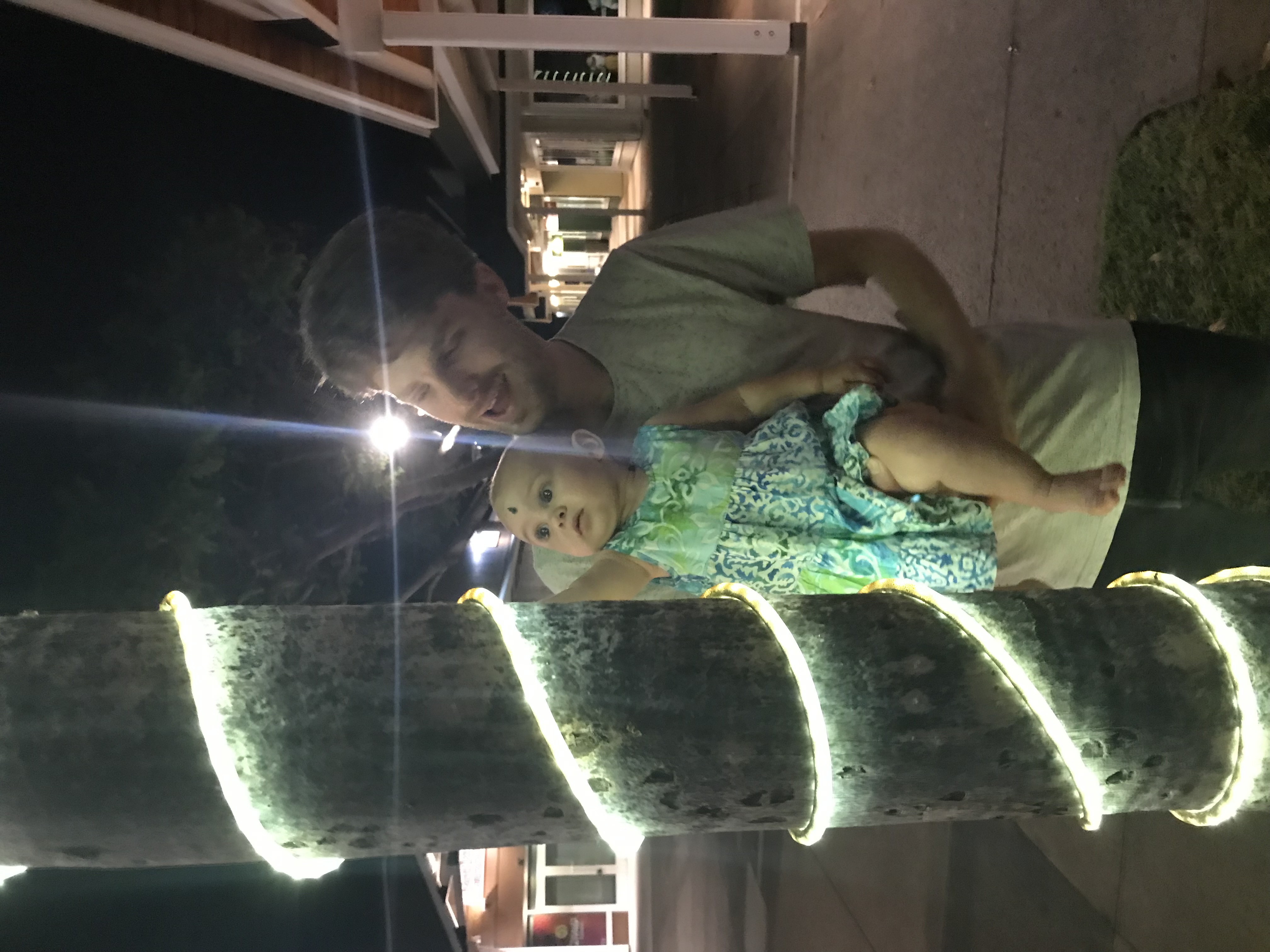 Lily fascinated by some lights wrapped around a palm tree