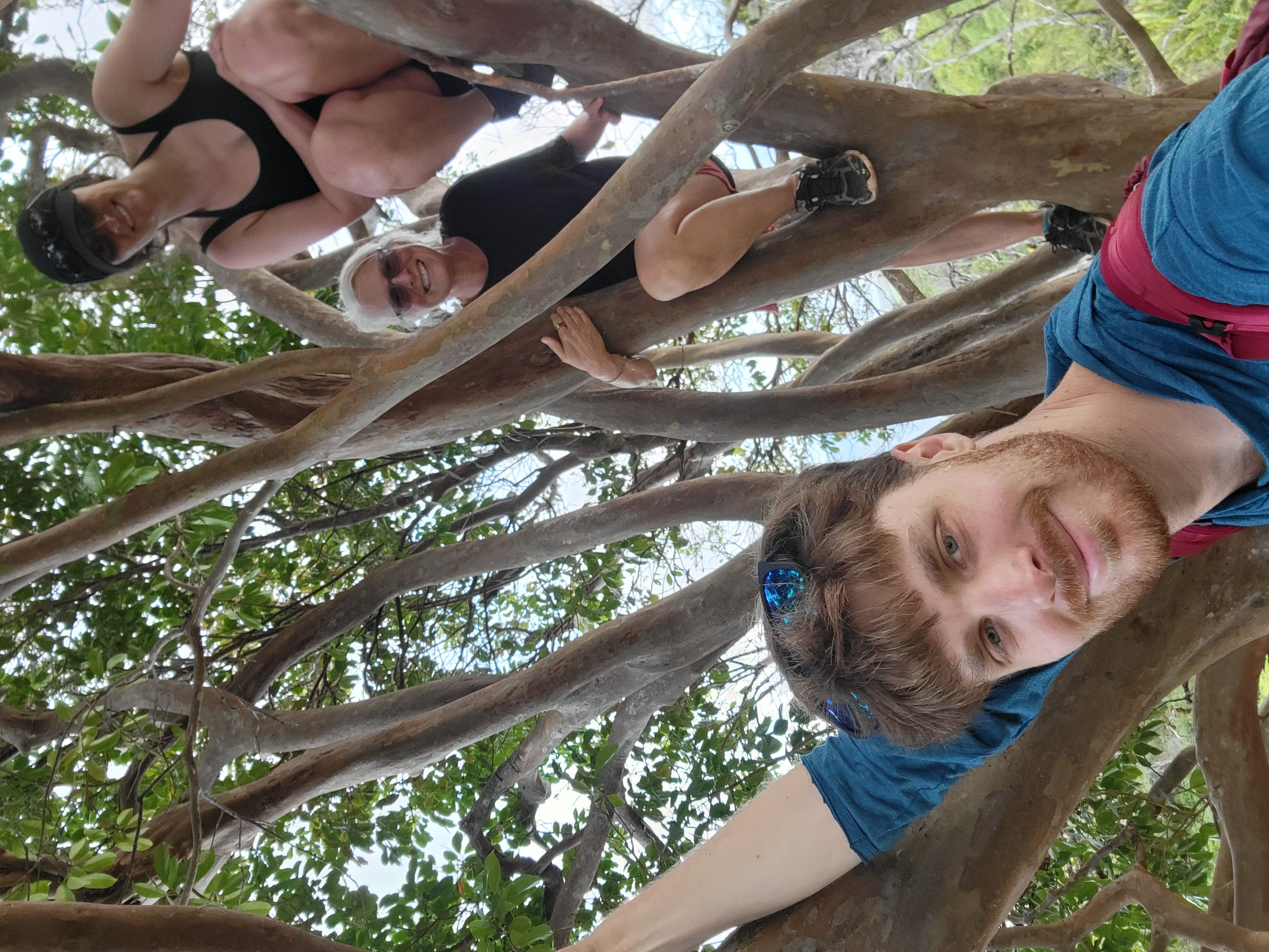 In a tree with Mattie and my mom on Waihe'e ridge